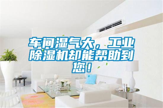 车间湿气大，工业除湿机却能帮助到您！