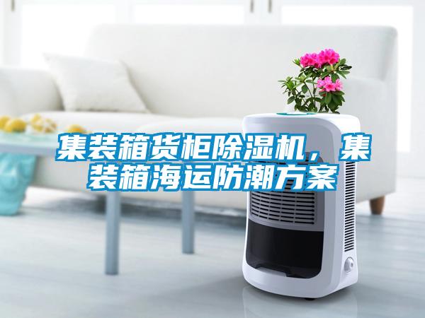 集装箱货柜除湿机，集装箱海运防潮方案