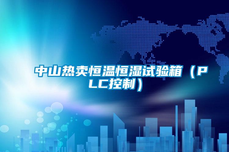 中山热卖恒温恒湿试验箱（PLC控制）