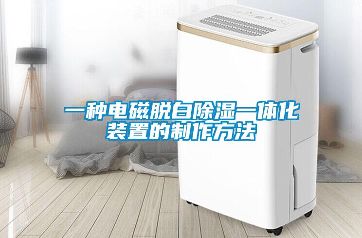 一种电磁脱白除湿一体化装置的制作方法