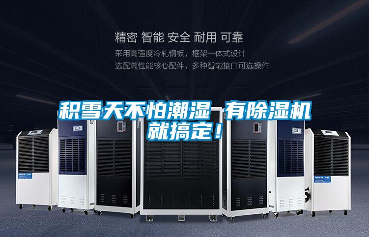 积雪天不怕潮湿 有除湿机就搞定！