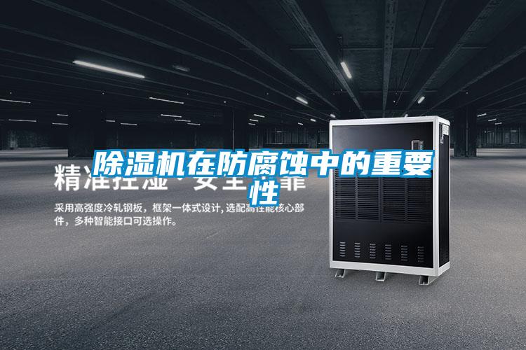 除湿机在防腐蚀中的重要性