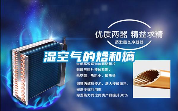 湿空气的焓和熵