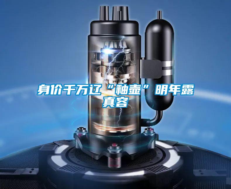 身价千万辽“釉壶”明年露真容