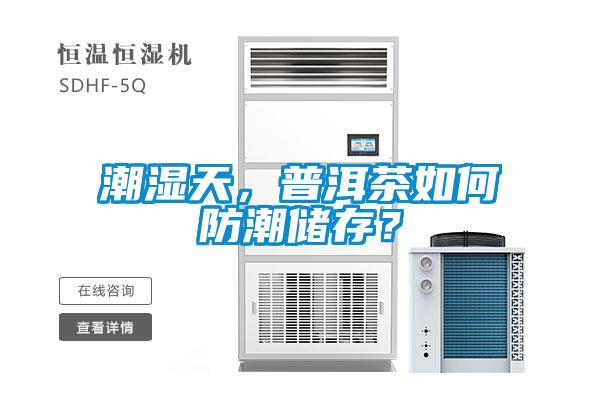 潮湿天,普洱茶如何防潮储存?