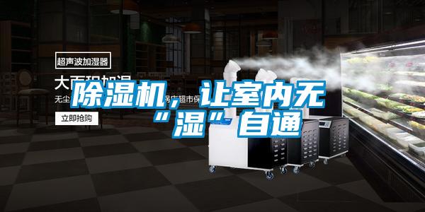 除湿机，让室内无“湿”自通