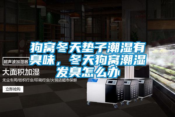 狗窝冬天垫子潮湿有臭味,冬天狗窝潮湿发臭怎么办
