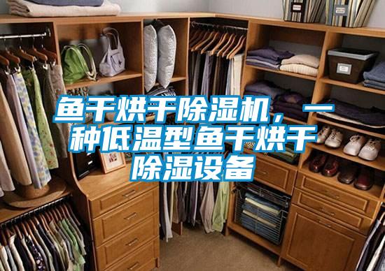 鱼干烘干除湿机，一种低温型鱼干烘干除湿设备