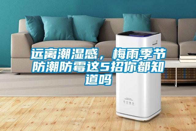远离潮湿感，梅雨季节防潮防霉这5招你都知道吗