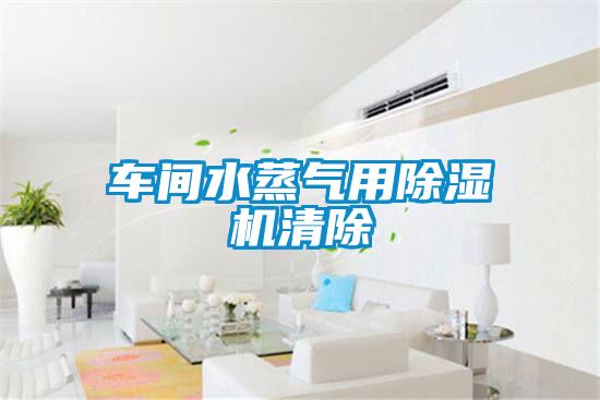 车间水蒸气用除湿机清除