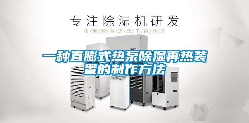 一种直膨式热泵除湿再热装置的制作方法