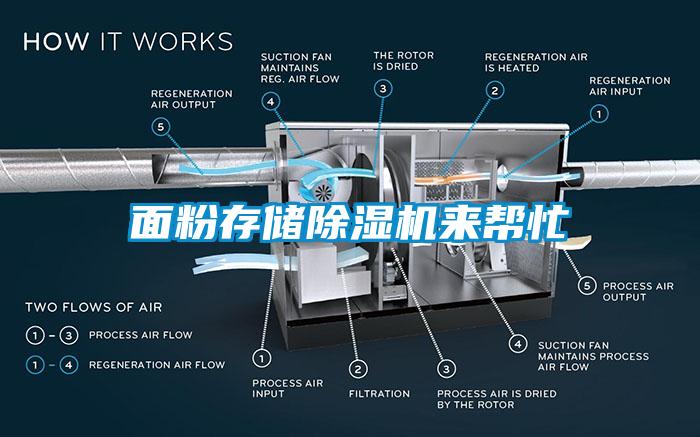 面粉存储除湿机来帮忙