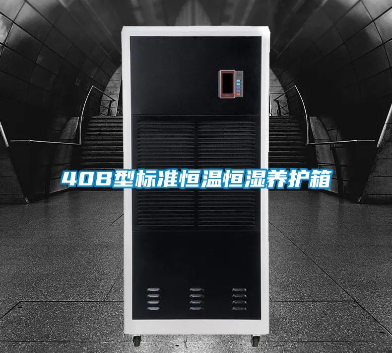 40B型标准恒温恒湿养护箱