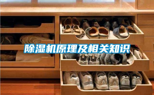 除湿机原理及相关知识