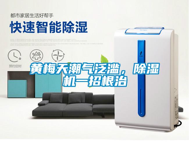 黄梅天潮气泛滥，除湿机一招根治