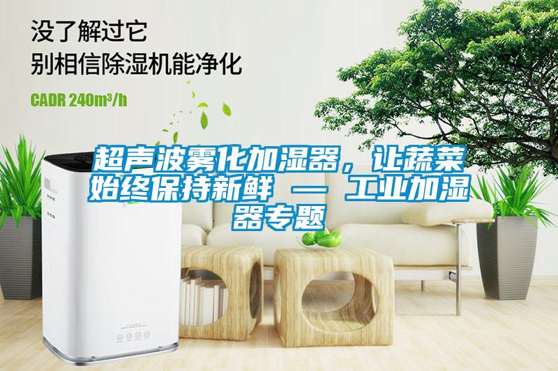 超声波雾化加湿器,让蔬菜始终保持新鲜 — 工业加湿器专题