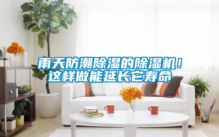 雨天防潮除湿的除湿机！这样做能延长它寿命
