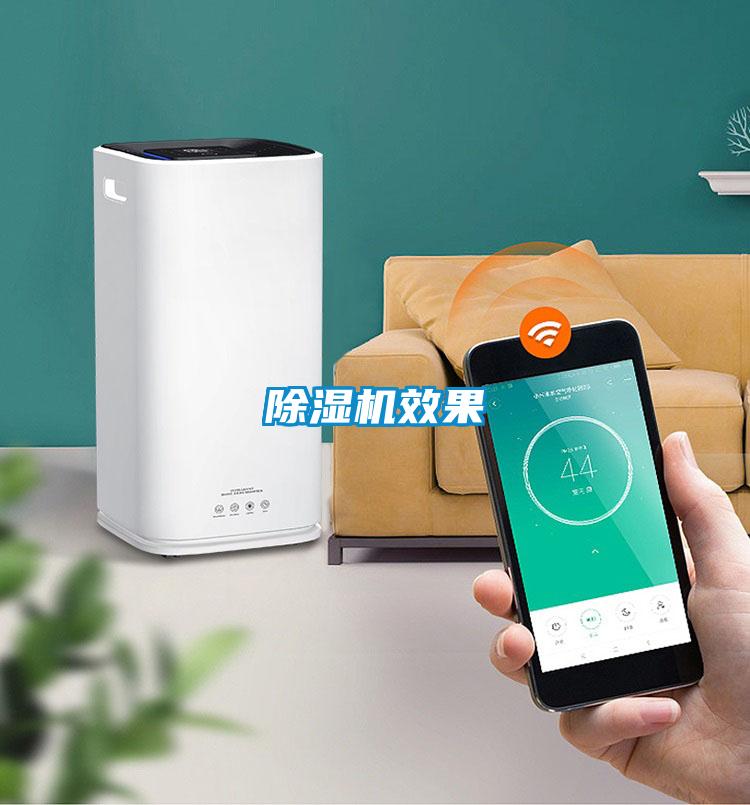 除湿机效果