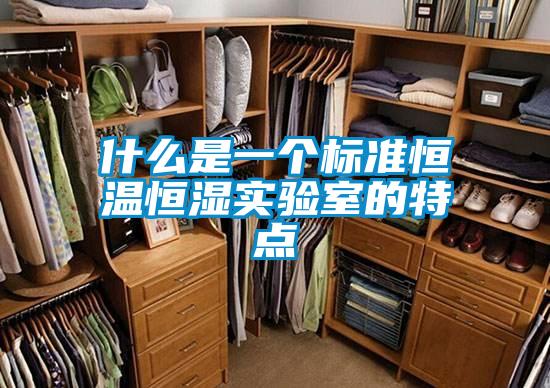 什么是一个标准恒温恒湿实验室的特点