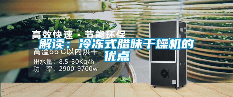 解读：冷冻式腊味干燥机的优点