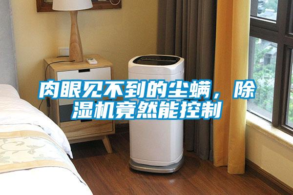 肉眼见不到的尘螨，除湿机竟然能控制