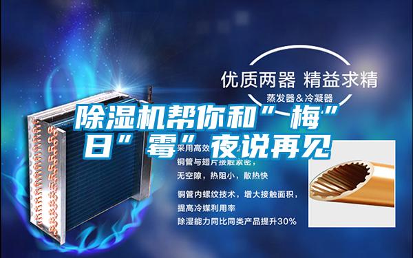 除湿机帮你和”梅”日”霉”夜说再见