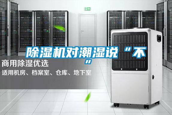 除湿机对潮湿说“不”