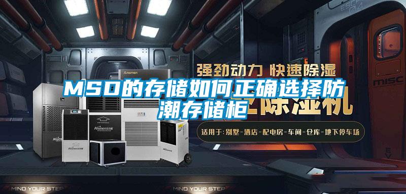 MSD的存储如何正确选择防潮存储柜