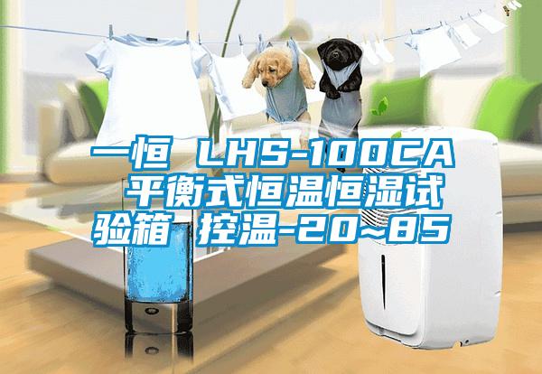 一恒 LHS-100CA 平衡式恒温恒湿试验箱 控温-20~85℃
