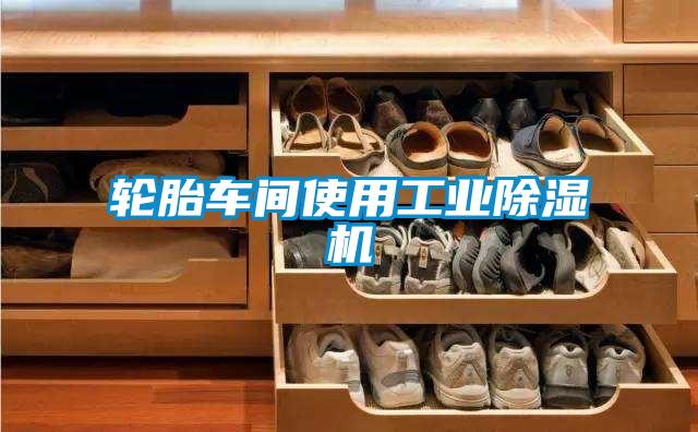 轮胎车间使用工业除湿机