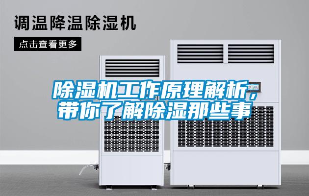 除湿机工作原理解析，带你了解除湿那些事