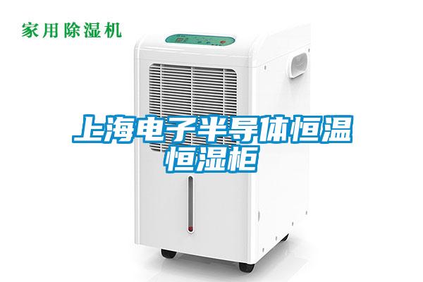 上海电子半导体恒温恒湿柜