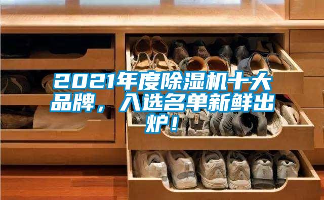 2021年度除湿机十大品牌，入选名单新鲜出炉！