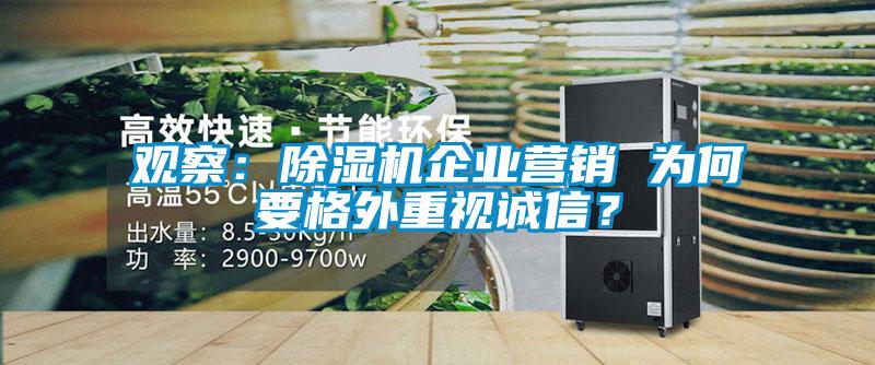 观察：除湿机企业营销 为何要格外重视诚信？