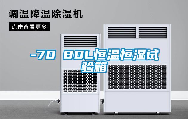 -70℃80L恒温恒湿试验箱