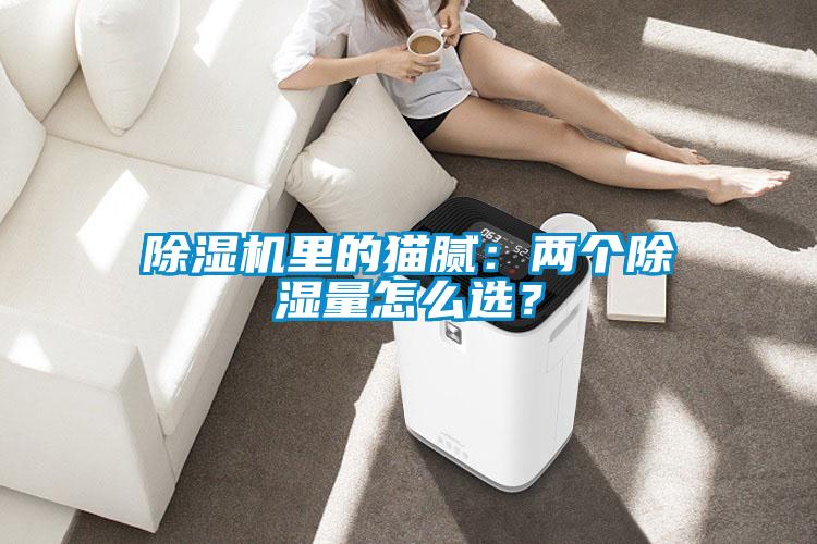 除湿机里的猫腻：两个除湿量怎么选？
