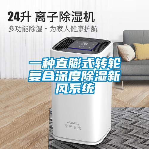 一种直膨式转轮复合深度除湿新风系统
