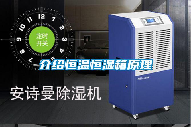 介绍恒温恒湿箱原理