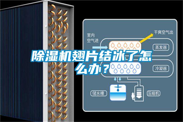 除湿机翅片结冰了怎么办？
