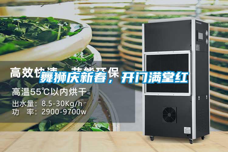 舞狮庆新春，开门满堂红