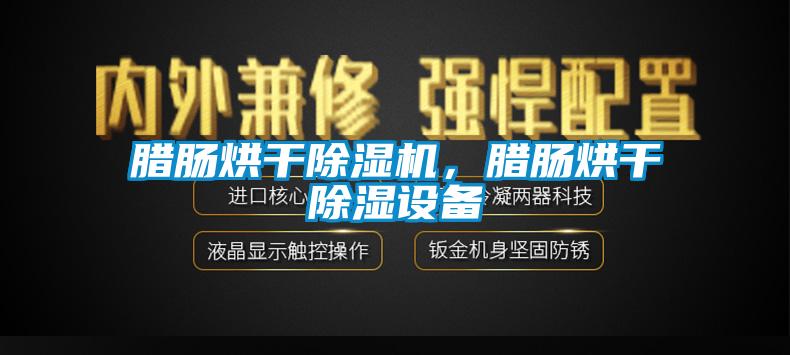 腊肠烘干除湿机，腊肠烘干除湿设备