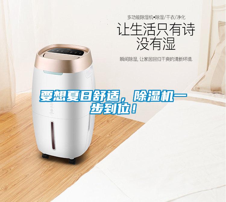 要想夏日舒适，除湿机一步到位！
