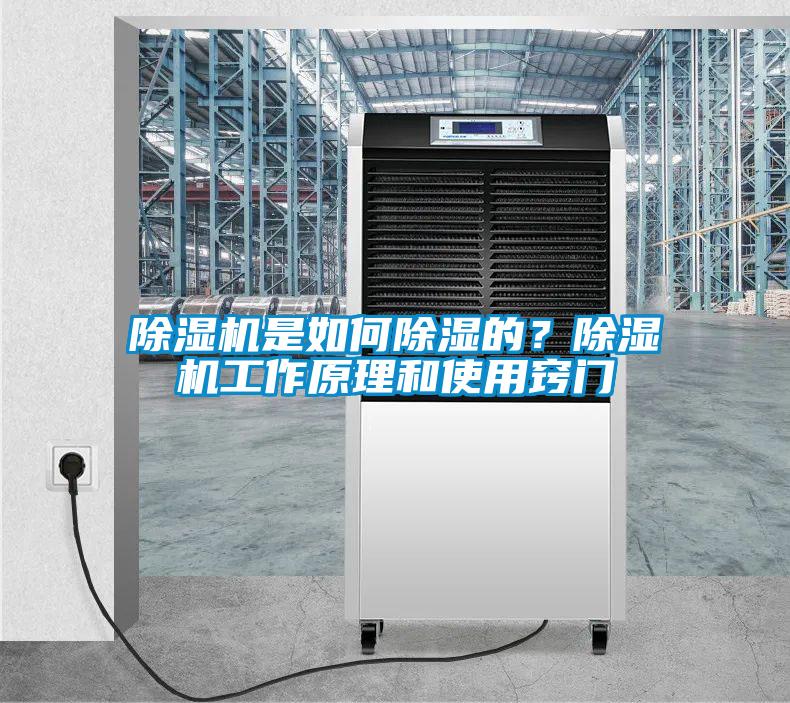 除湿机是如何除湿的？除湿机工作原理和使用窍门