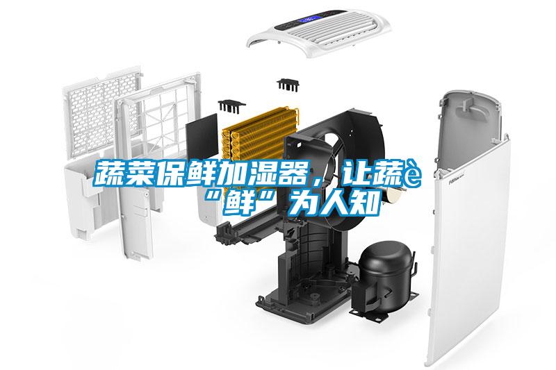 蔬菜保鲜加湿器，让蔬菜“鲜”为人知
