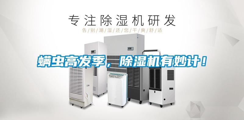 螨虫高发季，除湿机有妙计！