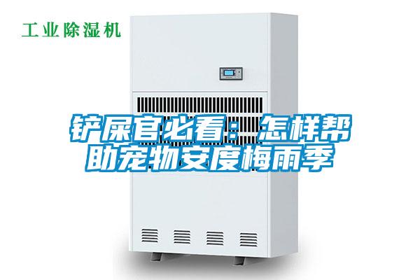 铲屎官必看：怎样帮助宠物安度梅雨季