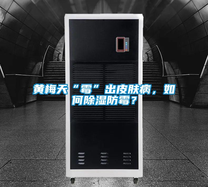 黄梅天“霉”出皮肤病，如何除湿防霉？