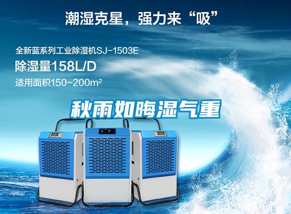 秋雨如晦湿气重