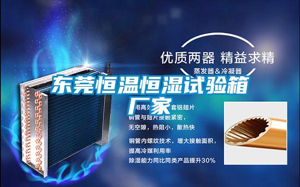 东莞恒温恒湿试验箱厂家