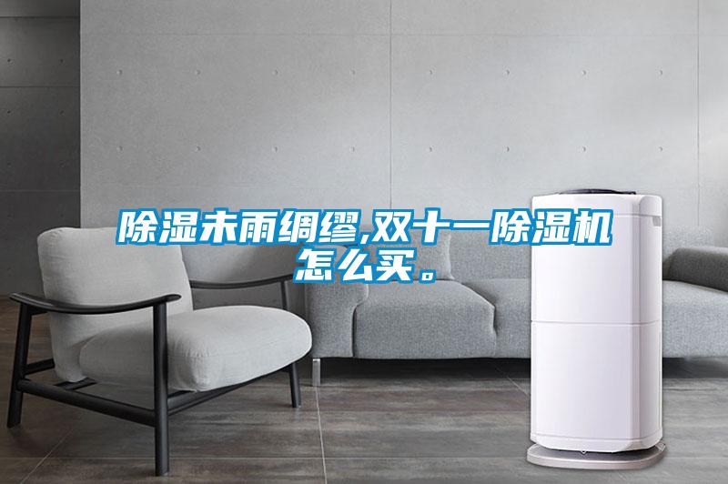 除湿未雨绸缪,双十一除湿机怎么买。
